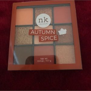 Fall colored eye shadow unused